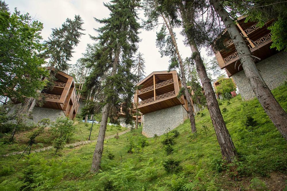 Hancioglu Orman Evleri & Hotel Trabzon Exterior foto
